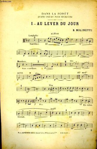 Dans La Fôret  I- Au Lever Du Jour