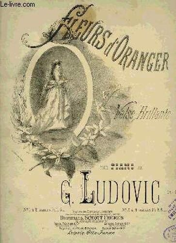 Fleurs D'oranger
