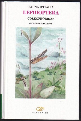 Fauna D'italia Lepidoptera Coleophoridae