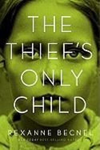 The Thief's Only Child