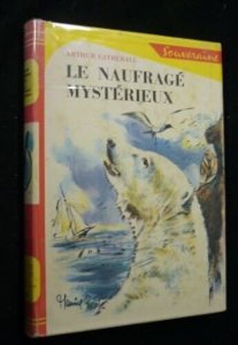 Le Naufragé Mystérieux