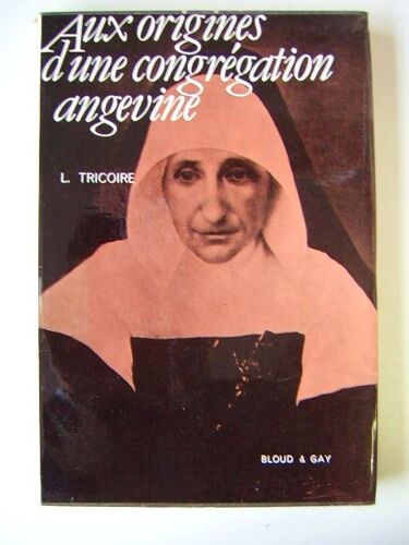 Aux Origines D'une Congrégation Angevine. La Providence De La Pommeraye