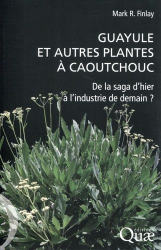 Guayule Et Autres Plantes À Caoutchouc - De La Saga D'hier À L'industrie De Demain ?