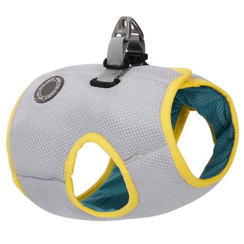 Ensemble Harnais Et Laisse Pour Chien, Pour Chihuahua Carlin Petit Moyen Chiot Chat, Gilet Rafraîchissant, Harnais De Marche