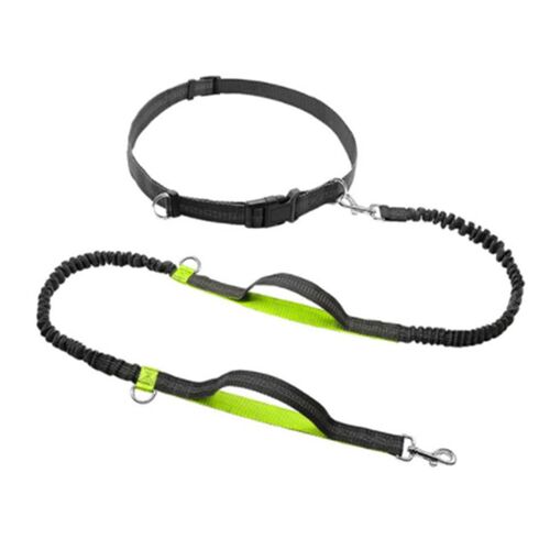 Harnais Pour Chiens | Nouveauté, Laisse Course Élasticité Main Librement Produit - Modèle: Green As The Picture Show - Htbcwqsb08226