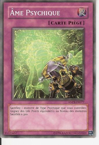 Ame Psychique.Anpr-Fr077