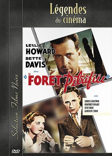 La Forêt Pétrifiée