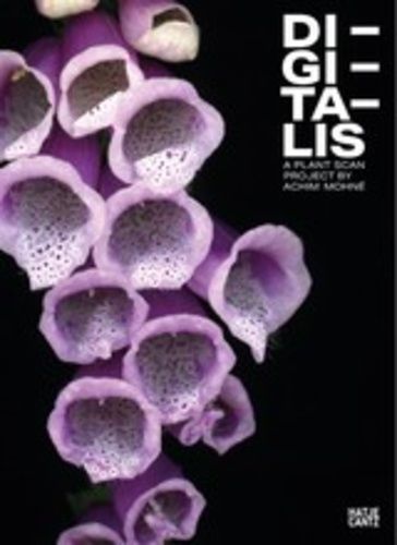 Di-Gi-Ta-Lis - Achim Mohne