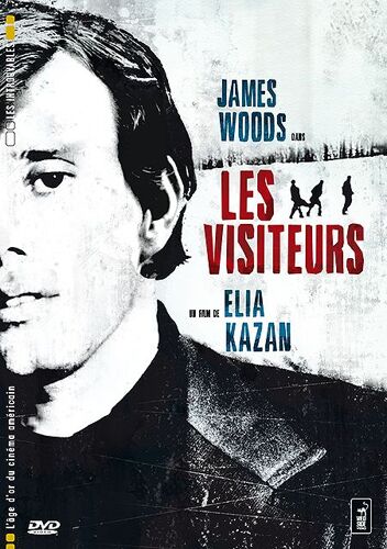 Les Visiteurs