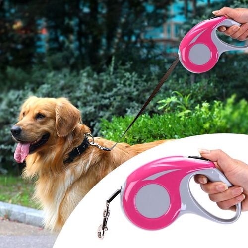 Laisse Rétractable Automatique Pour Chien, 3m/5m, Flexible, Pour Chiot, Chat, Corde De Traction, Ceinture, Produits Pour Animaux De Compagnie