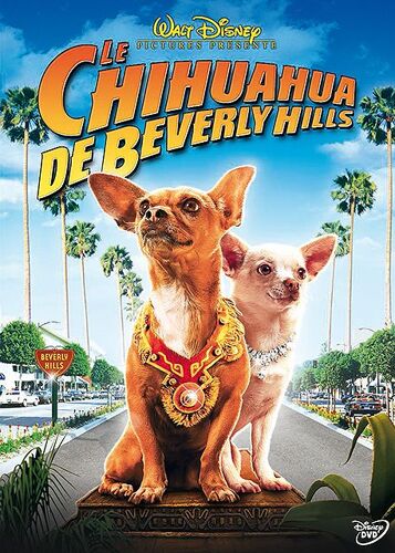 Le Chihuahua De Beverly Hills