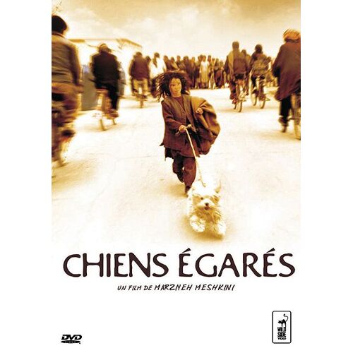 Chiens Égarés