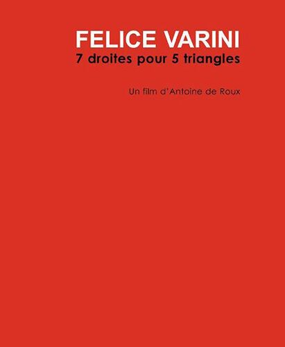 Felice Varini, 7 Droites Pour 5 Triangles