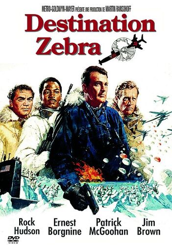 Destination Zebra