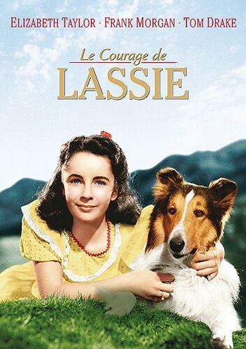 Le Courage De Lassie