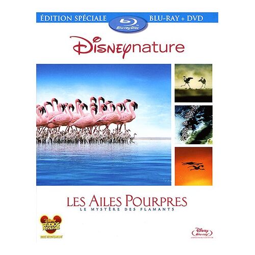 Les Ailes Pourpres : Le Mystère Des Flamants - Combo Blu-Ray + Dvd