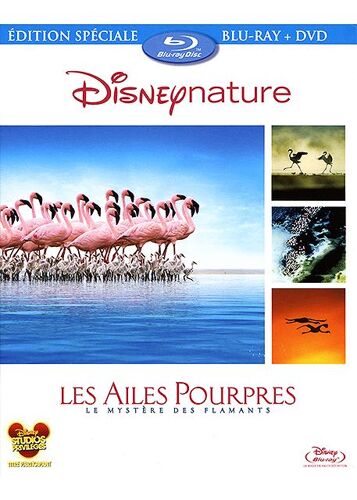 Les Ailes Pourpres : Le Mystère Des Flamants - Combo Blu-Ray + Dvd
