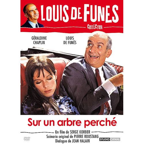 Sur Un Arbre Perché