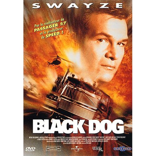 Black Dog
