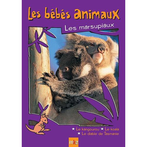 Les Bébés Animaux - Les Marsupiaux