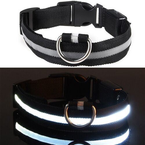 Collier Pour Animaux De Compagnie De Chien Clignotant Usb Rechargeable Led Éclairage - Modèle: White 2.5cm 40cm-48cm - Htbcwxqa11545