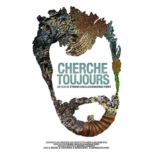 Cherche Toujours