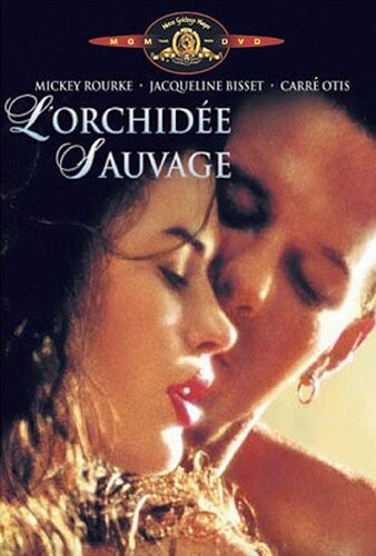 L'orchidée Sauvage