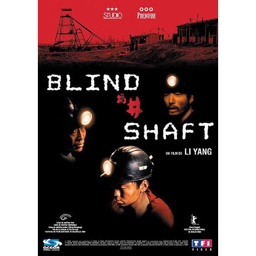 Blind Shaft