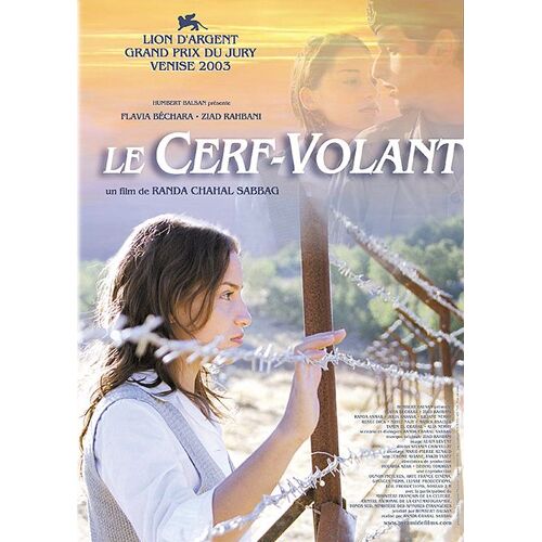 Le Cerf-Volant