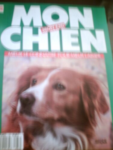 Mon Chien, Mon Ami  N° 33 : Le Bichon Maltais