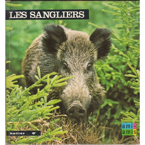 Les Sangliers - Images De La Nature