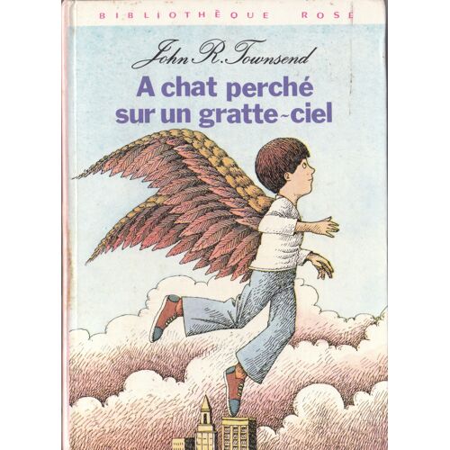 À Chat Perché Sur Un Gratte-Ciel