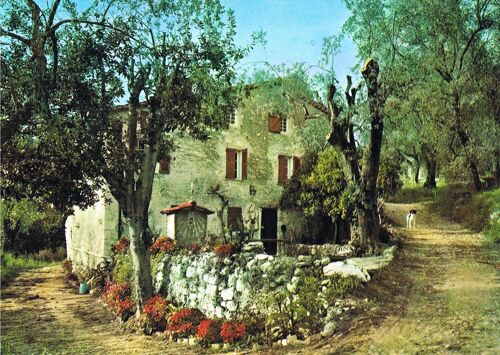 Carte Postale, France, Alpes Maritimes ( 06 ), Roquefort Les Pins, Le Mas Saint Pierre