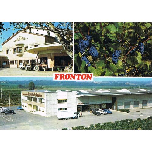 Carte Postale, France, Haute Garonne ( 31 ), Fronton, Les Caves Coopératives