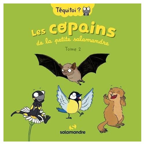 Les Copains De La Petite Salamandre - Tome 2