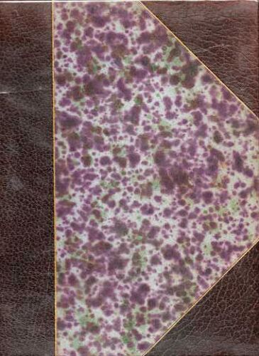 Nez-De-Cuir Gentilhomme D'amour