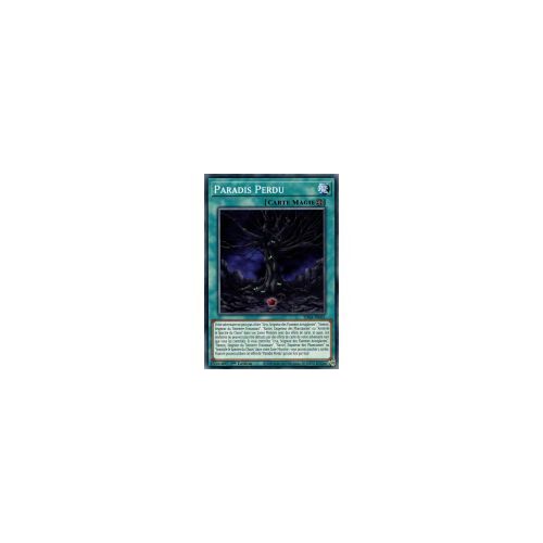 Yugioh! Paradis Perdu (Sdsa-Fr021)