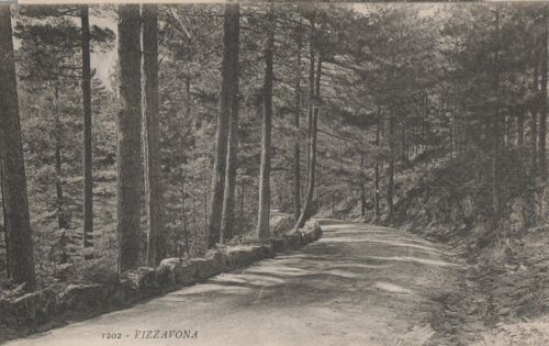 Carte Postale - Vizzavona - Corse