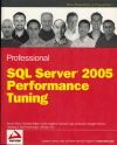 Professional Sql Server 2005 Performance Tuning