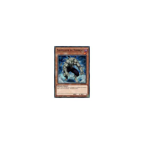 Yugioh! Faufilleur Du Tombeau (Sdsa-Fr009)