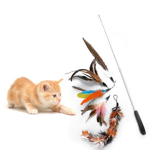 Bâton De Chat Drôle Rétractable 6 Pièces/Ensemble, Fournitures Pour Animaux De Compagnie, Tête De Remplacement Pour Bricolage, Jouets, Chaton Chien, Tige D'entraînement