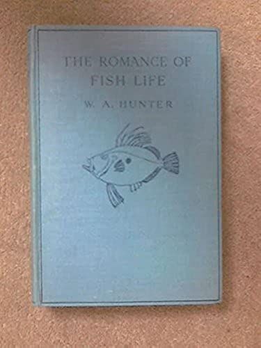 The Romance Of Fish Life