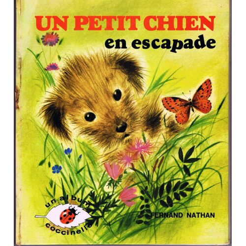 Un Petit Chien En Escapade