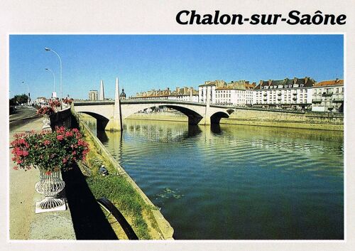 Carte Postale, France, Saône Et Loire ( 71 ), Chalon Sur Saône, Les Quais