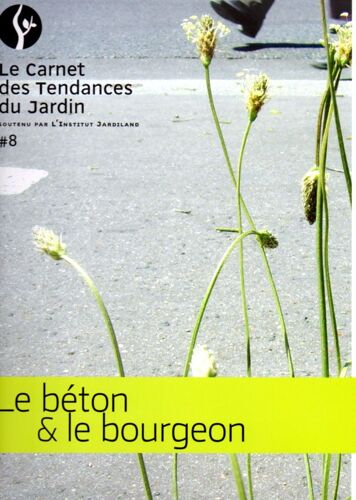 Le Béton Et Le Bourgeon
