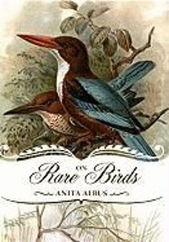 On Rare Birds