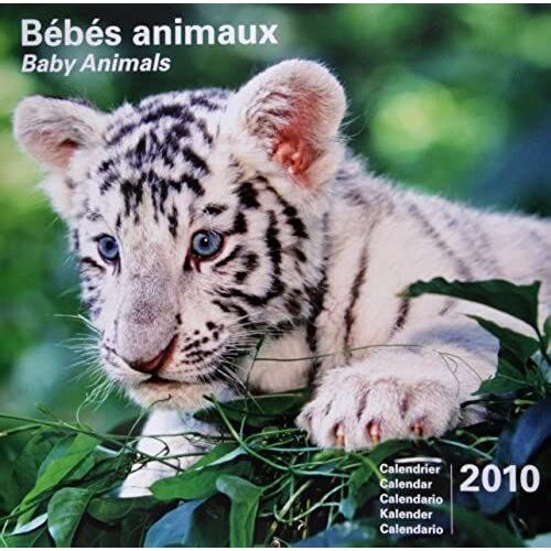 2010 30 X 30 Bebes Animaux Px Cess