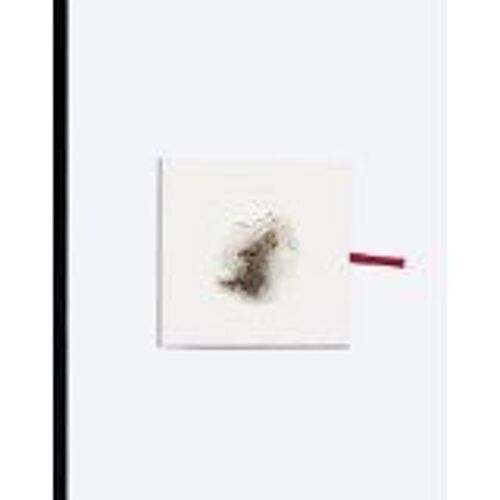 Cai Guo-Qiang: Head On