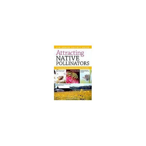 Attracting Native Pollinators