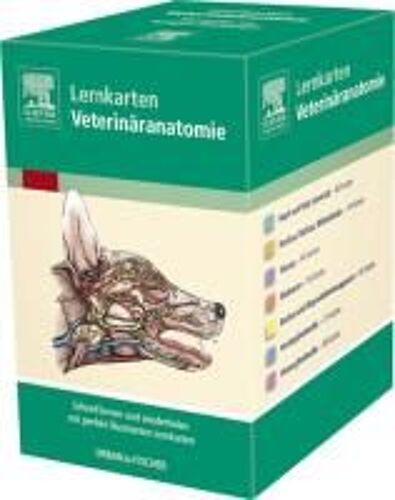 Lernkarten Veterinäranatomie/Veterinary Anatomy Flash Cards